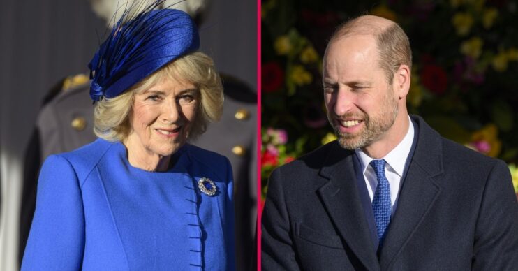 Queen Camilla / prince William
