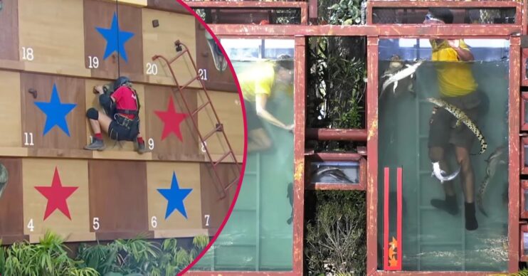 I'm A Celebrity All Stars trial