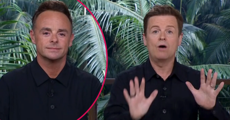 Ant and Dec hosting I'm A Celebrity