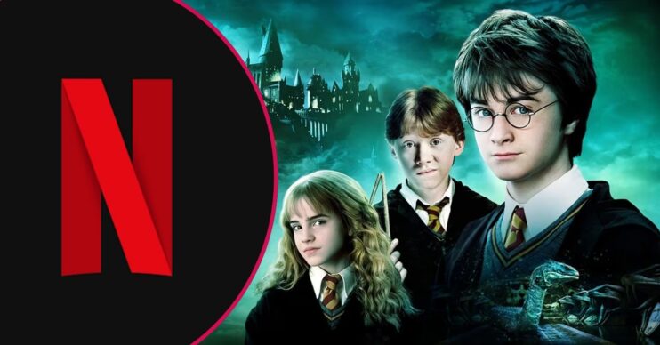 The Netflix logo and the stars of Harry Potter