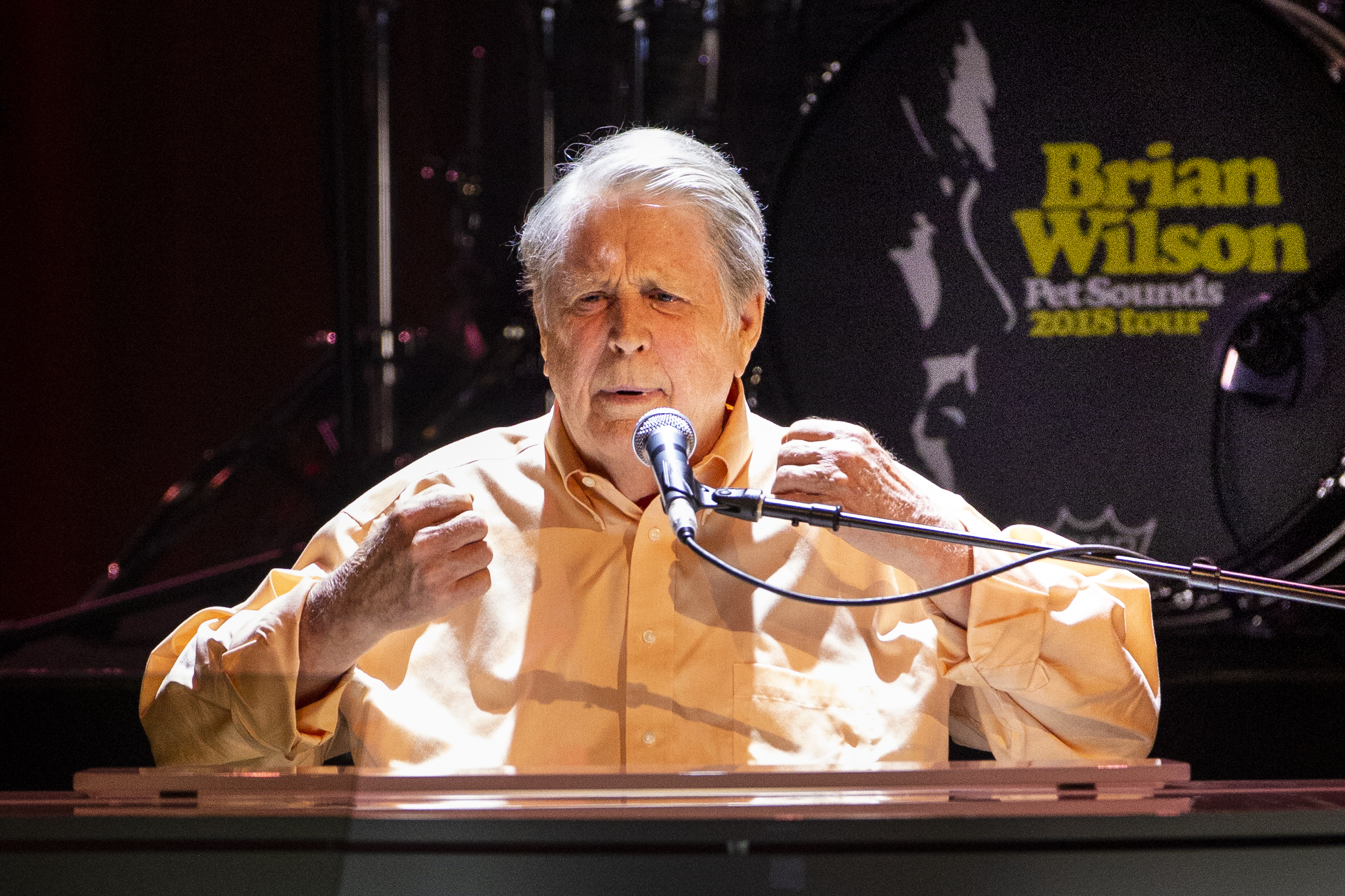 Brian Wilson