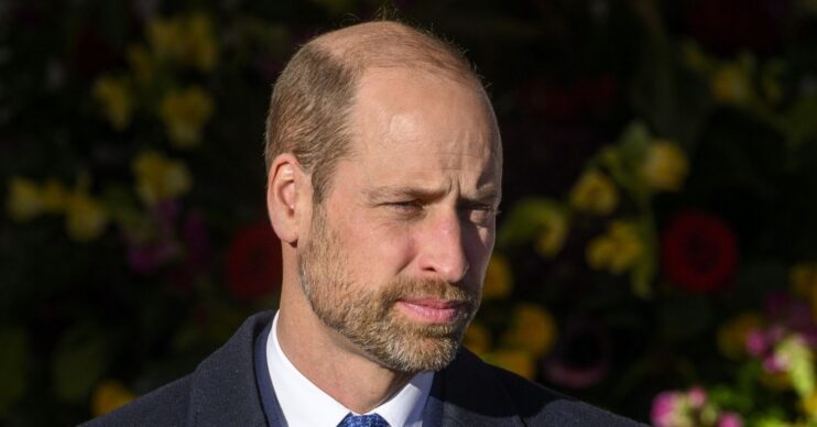 Prince William in suit at state visit