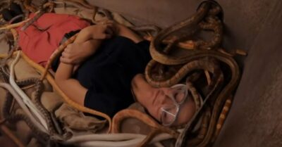 Frankie Bridge surrounded by snakes.