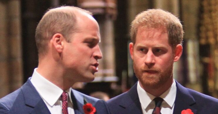 Prince William talking with a serious expression beside a frowning Prince Harry