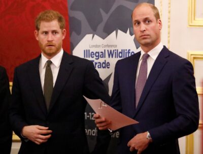Prince Harry frowning beside Prince William with a serious expression