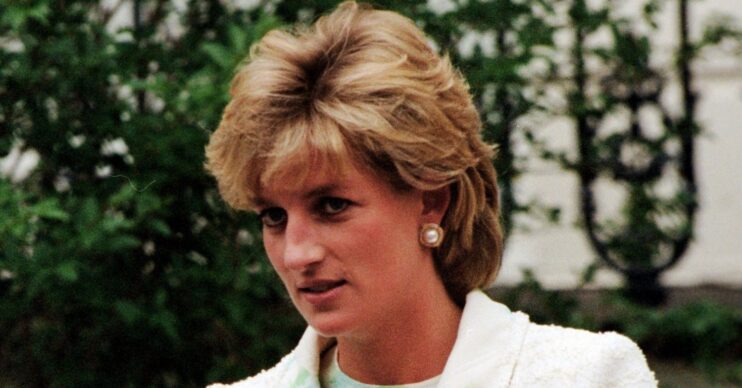 Princess Diana in tweed outfit