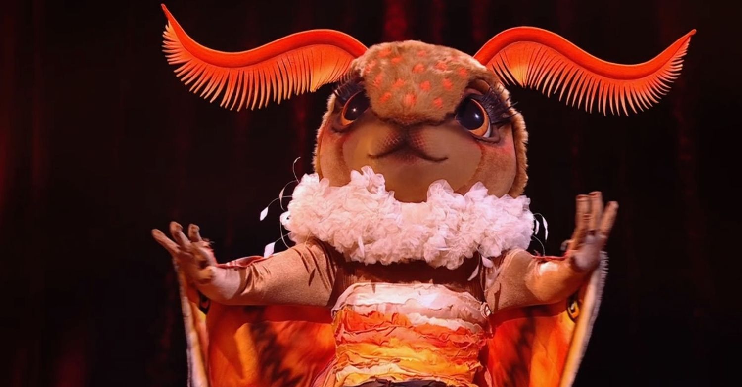Masked singer star