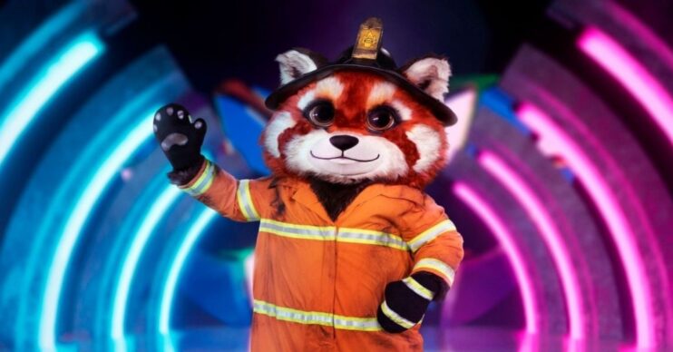 ED pic: Red Panda on Masked Singer