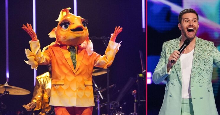 ED pic: The Masked Singer / Joel Domett