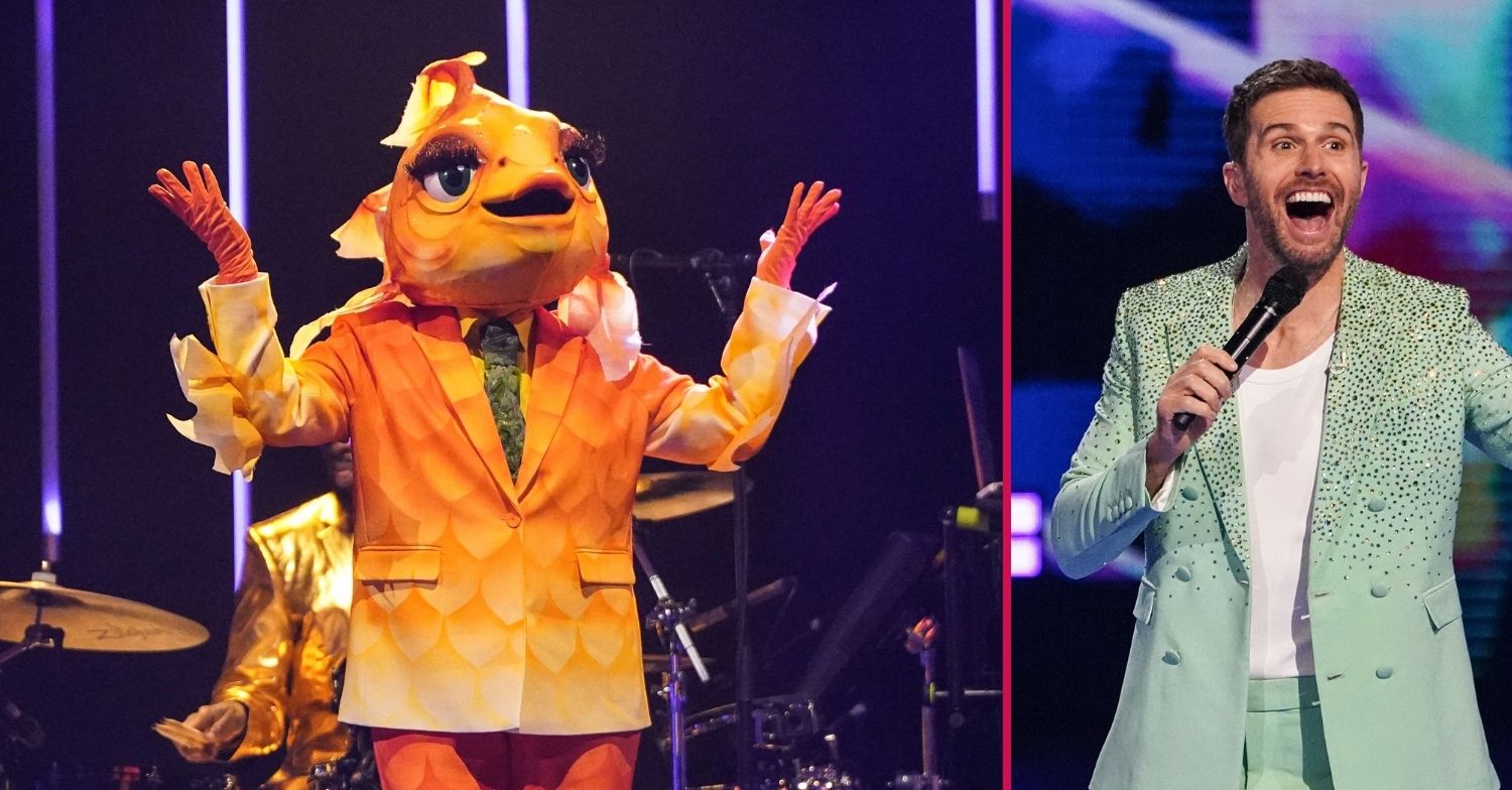 ED pic: The Masked Singer / Joel Domett