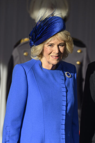 Queen Camilla in blue outfit for state visit