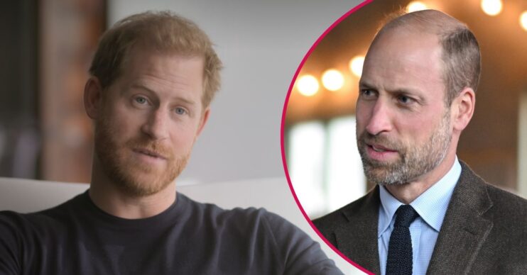 ED composite of Prince Harry on Netflix series and Prince William with serious expression