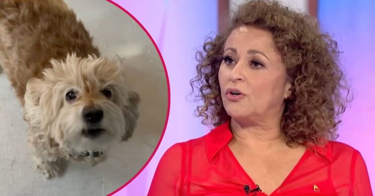 Nadia Sawalha and her dog Toffee