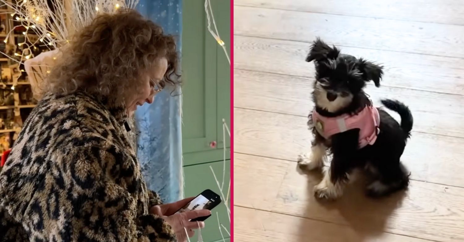 Nadia Sawalha and puppy Pepper
