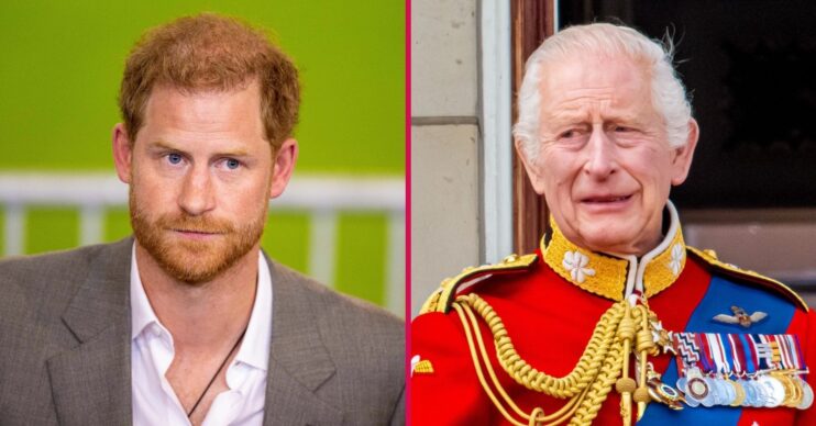 Prince Harry frowning beside a grimacing King Charles