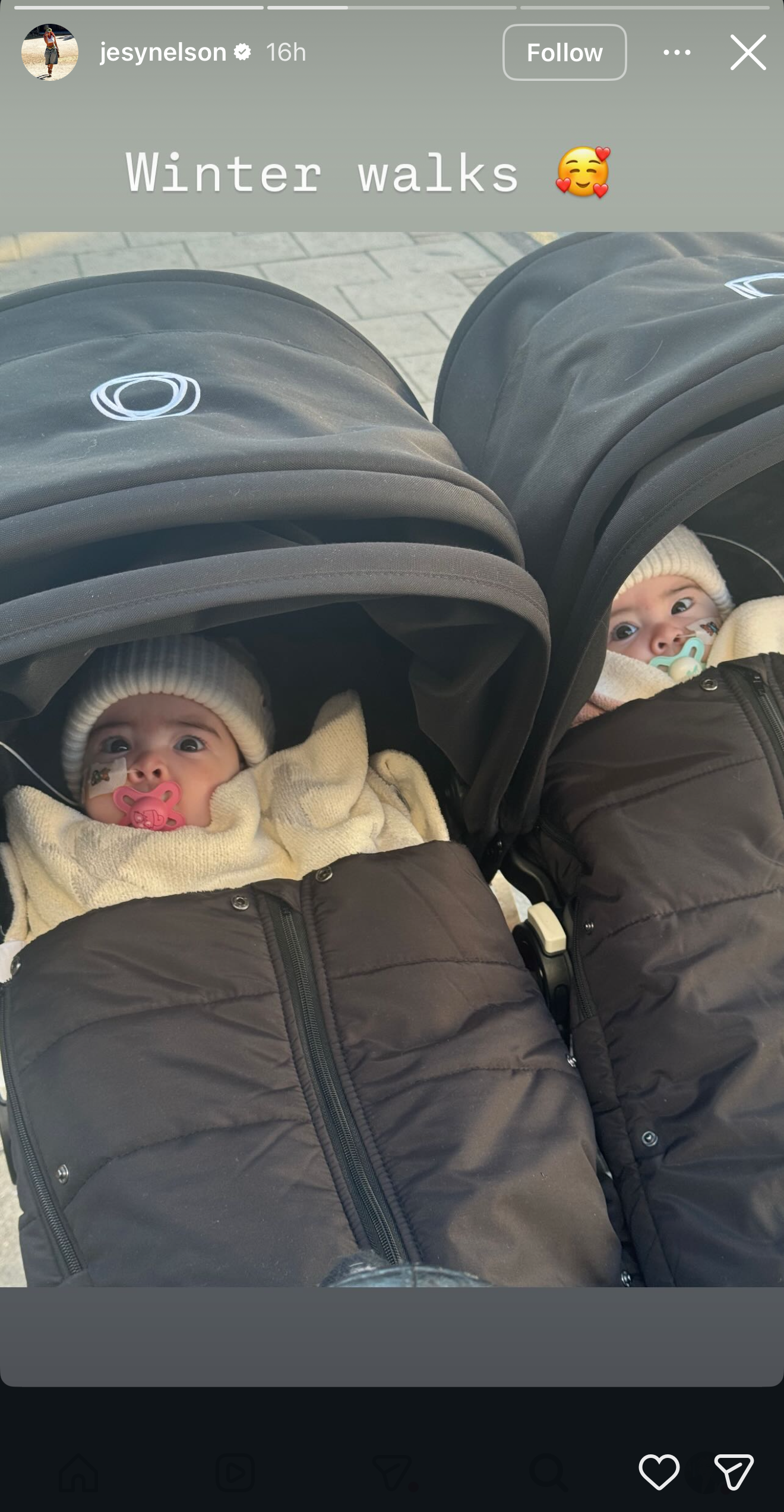 Jesy Nelson's twins on Instagram Story