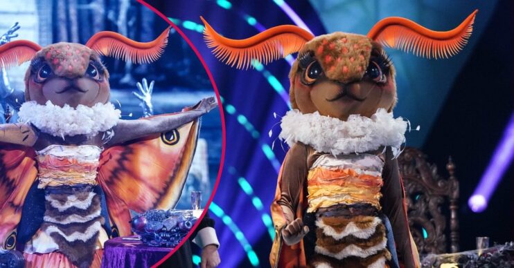 Moth on The Masked Singer