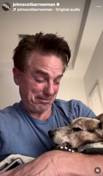 John Barrowman crying over his dog's body