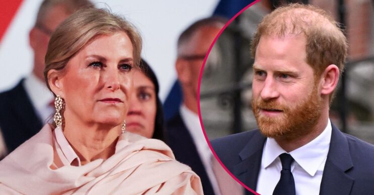 ED composite of Duchess Sophie and Prince Harry