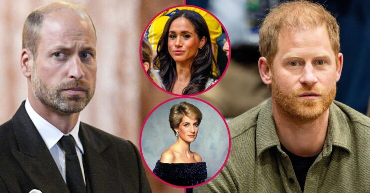 Prince William frowning, Meghan Markle pouting, a portrait of Princess Diana and Prince Harry frowning