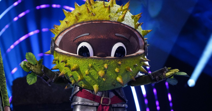 Conkers on The Masked Singer