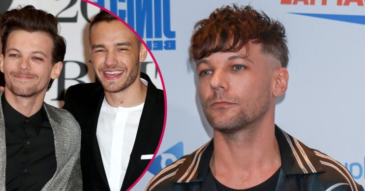 Louis Tomlinson and Liam Payne on the red carpet / Louis Tomlinson on the red carpet