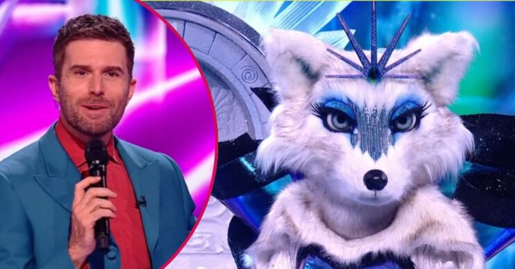 Arctic Fox on The Masked Singer?