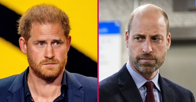 ED composite of Prince Harry and William at different engagements