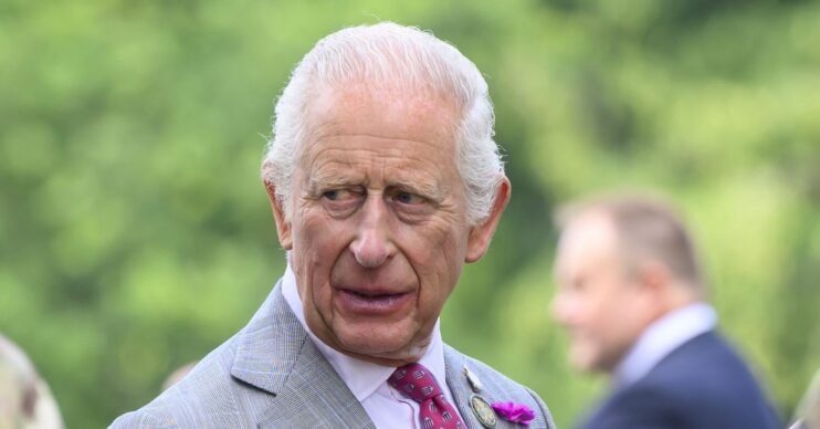 King Charles looking serious in grey suit