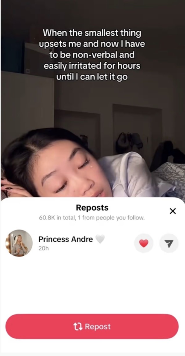 Princess Andre TikTok repost