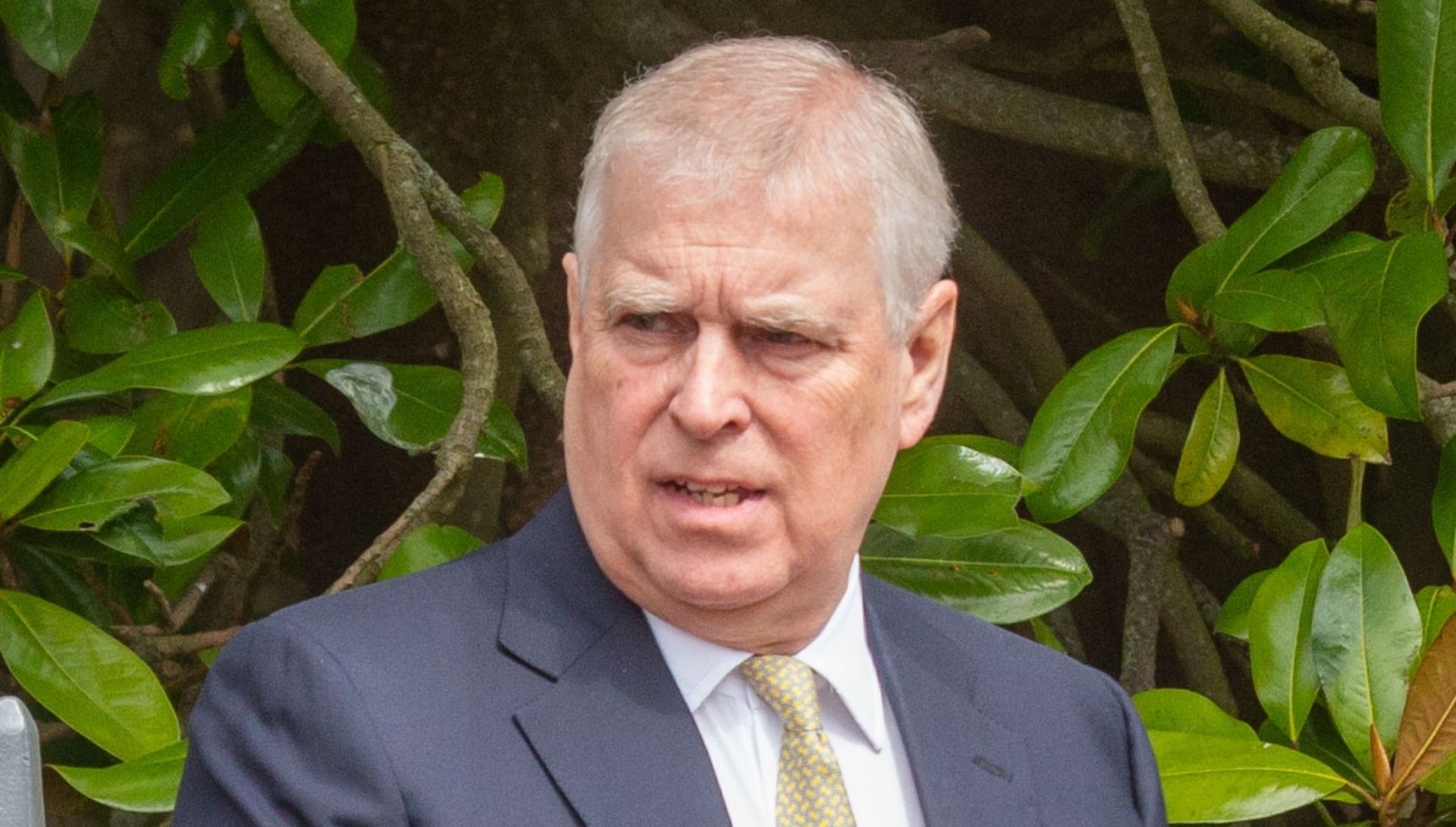 Andrew Mountbatten Windsor