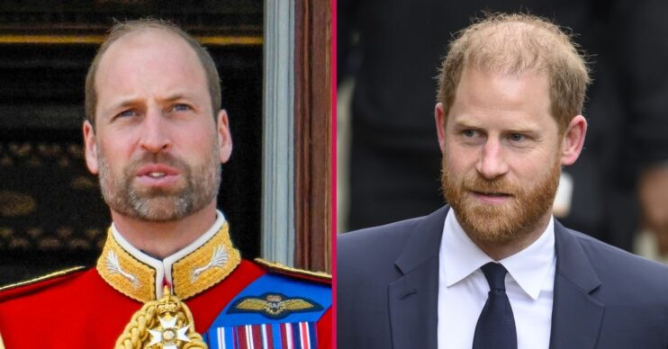 ED composite of Prince William and Harry at different events