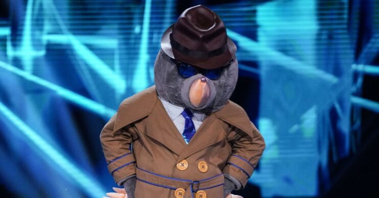 The Masked Singer Mole revealed