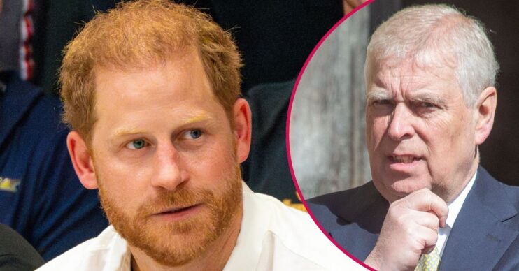 ED composite of Prince Harry and Andrew Mountbatten-Windsor