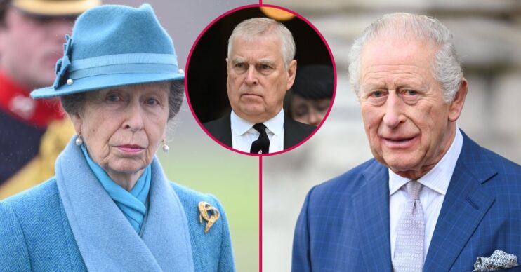 ED composite of Princess Anne, King Charles, Andrew Mountbatten-Windsor with serious expressions