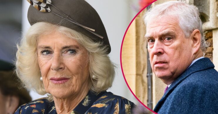 ED composite of Queen Camilla and Andrew Mountbatten-Windsor