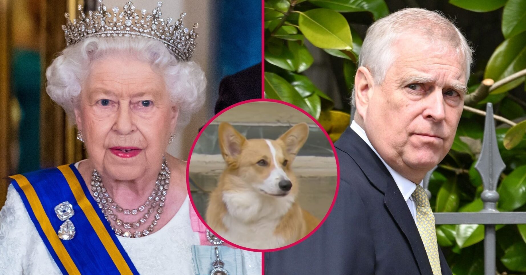 ED composite of Queen Elizabeth with her corgis and Andrew Mountbatten-Windsor