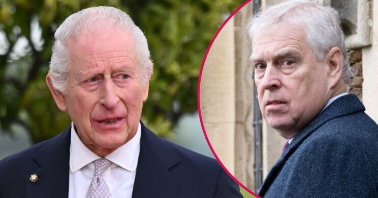 ED composite of King Charles and Andrew Mountbatten-Windsor looking serious