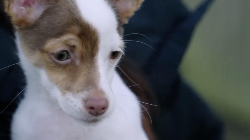 Bella on 22 Kids and Counting