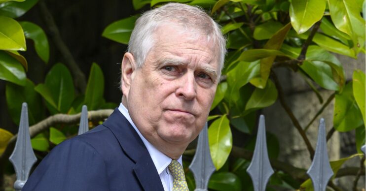 Andrew Mountbatten-Windsor looking to the side