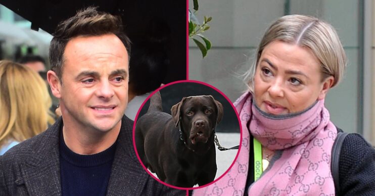 Ant McPartlin / Hurley / Lisa Armstrong