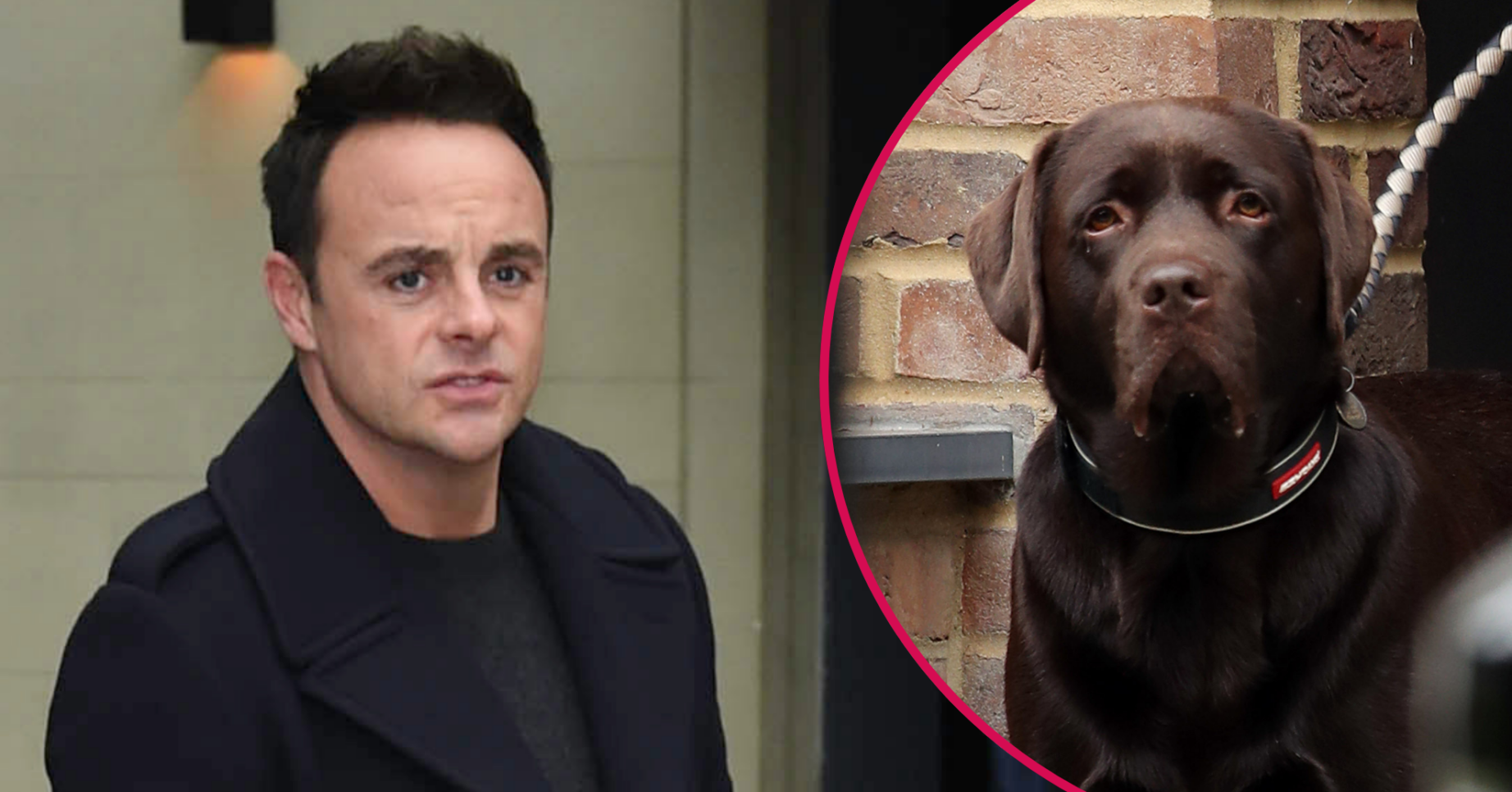 Ant McPartlin and Hurley