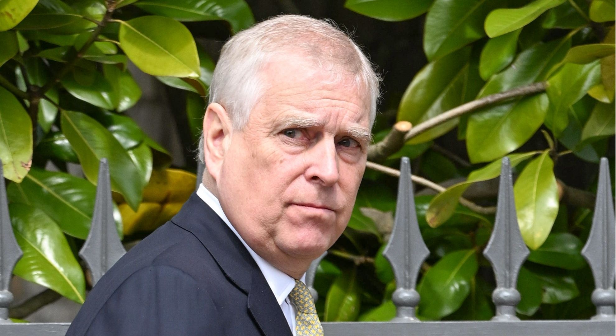 Politicians putting pressure on police to investigate Andrew Mountbatten-Windsor