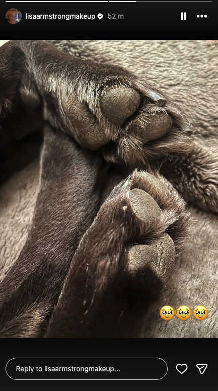 Hurley's paws