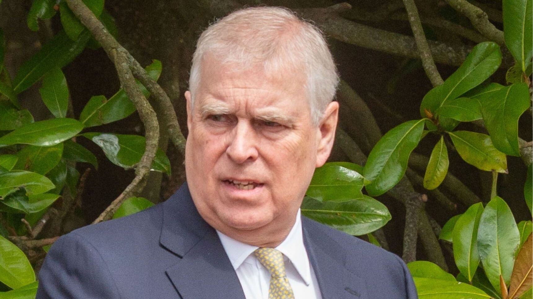 Andrew Mountbatten-Windsor in suit