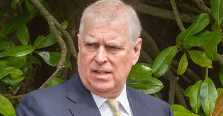 Andrew Mountbatten-Windsor in suit