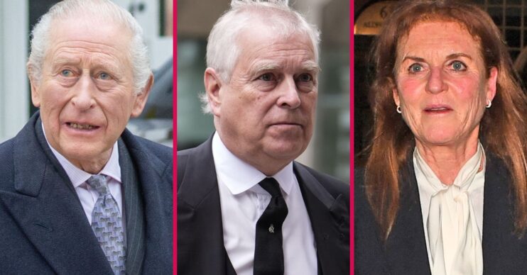 King Charles frowning beside Andrew Mountbatten-Windsor also frowning and Sarah Ferguson with a shocked expression