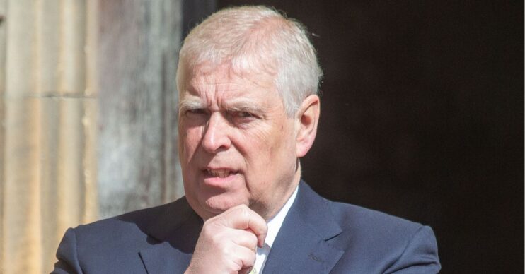 Andrew Mountbatten-Windsor resting his chin in his hand