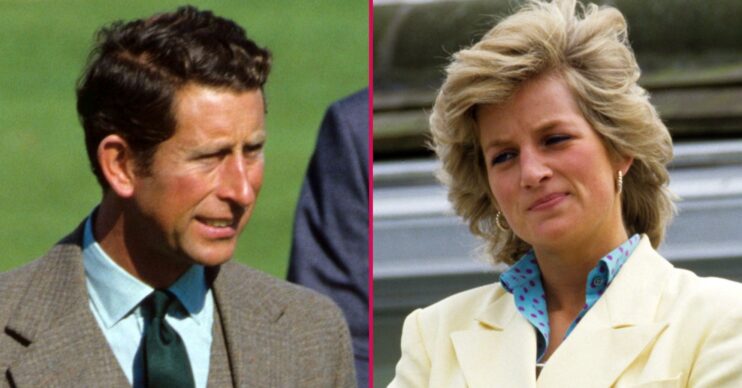 ED composite of King Charles and Princess Diana