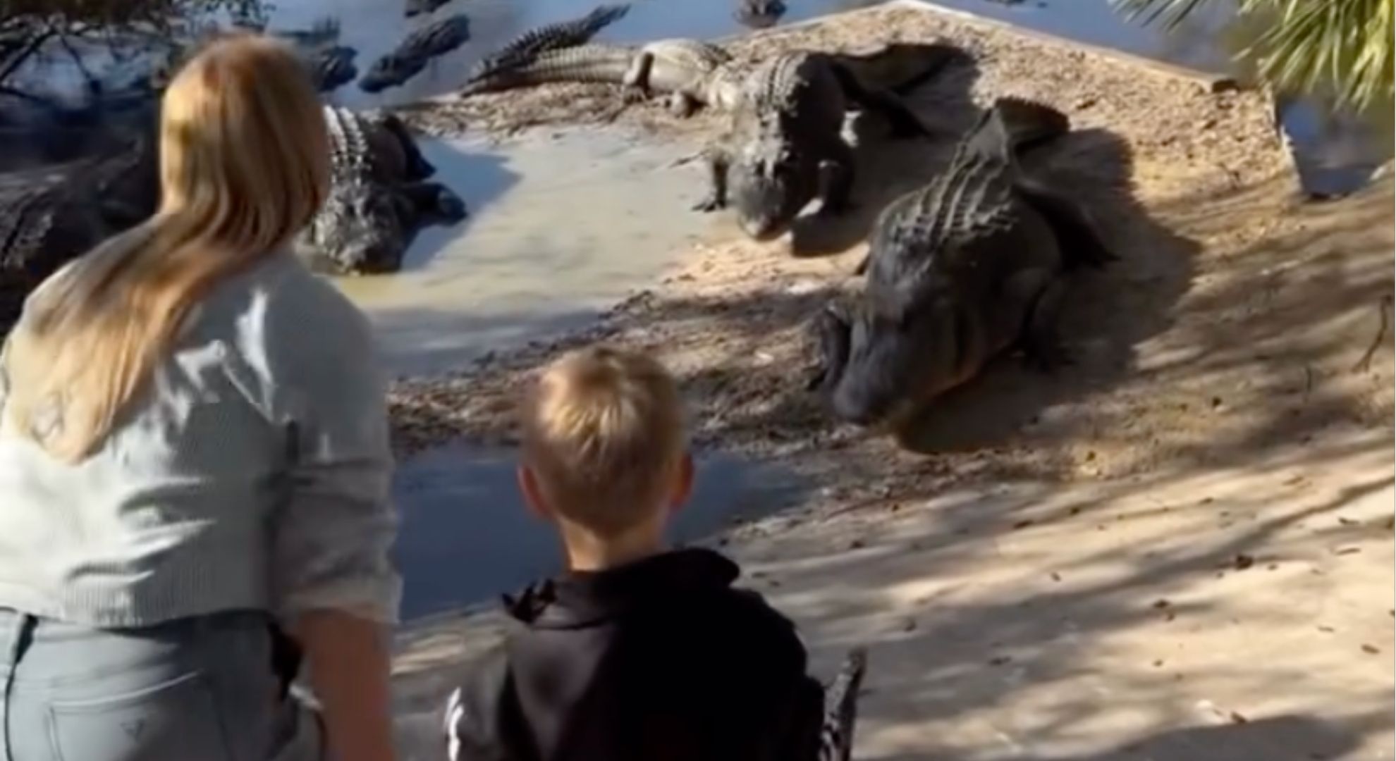 Josie Gibson feeding crocodiles